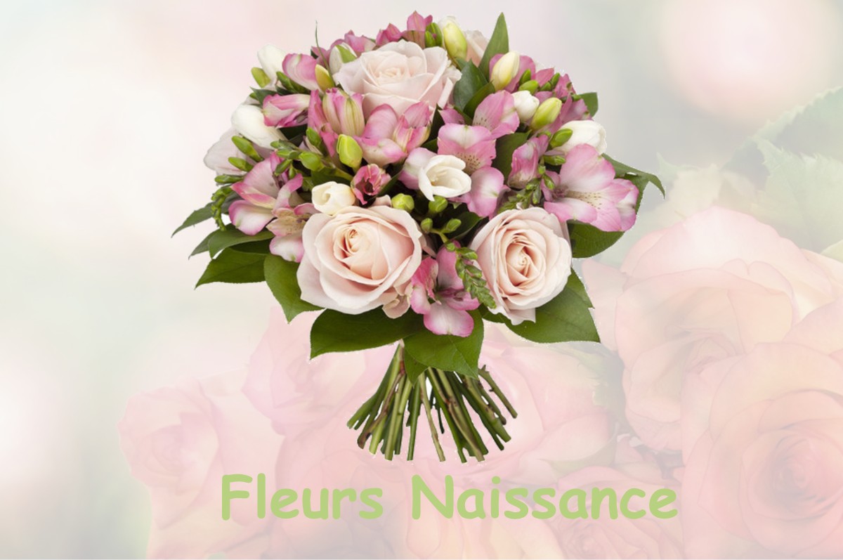 fleurs naissance LA-CHAUSSEE-D-IVRY